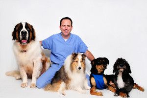 Increase-Your-Profits-Infusionsoft-Veterinarian-Success-Story