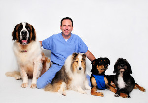 Increase-Your-Profits-Infusionsoft-Veterinarian-Success-Story